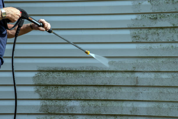 Best Power Washing Near Me  in Manistique, MI