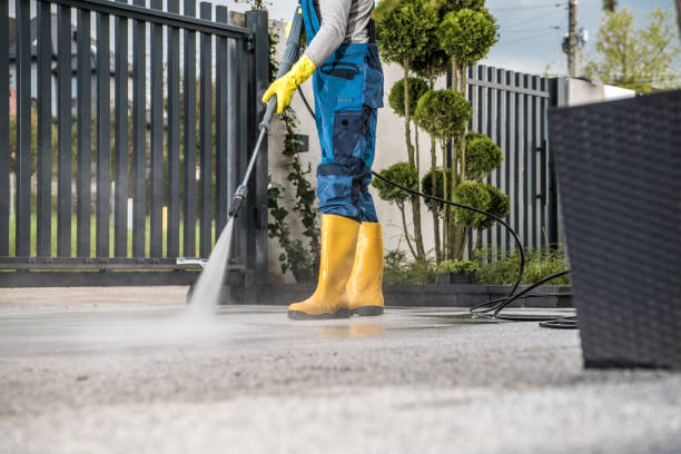 Best Concrete Pressure Washing  in Manistique, MI