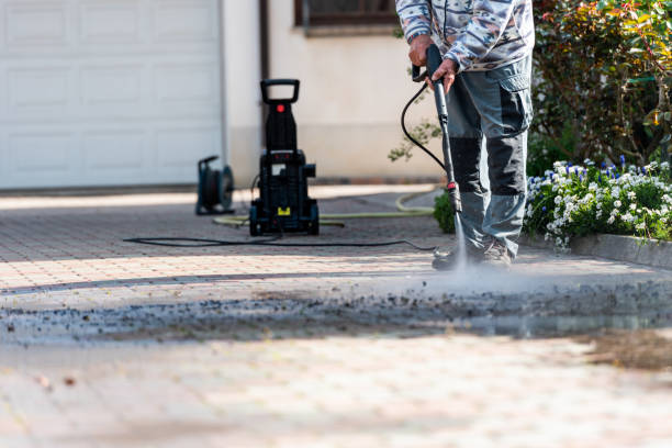 Best Local Pressure Washing Services  in Manistique, MI