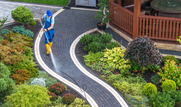 Best Sidewalk Pressure Washing  in Manistique, MI